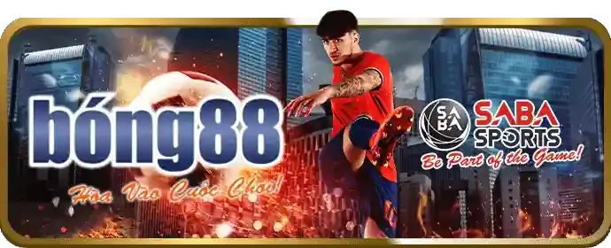 Chính sách bảo mật hello88vn